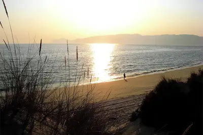 Image de Homerez - Appartement à Troia, vue jardin