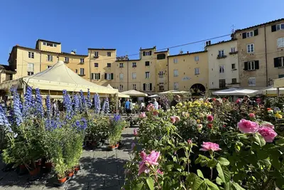 Image de Azalea - Lucca, Tuscany