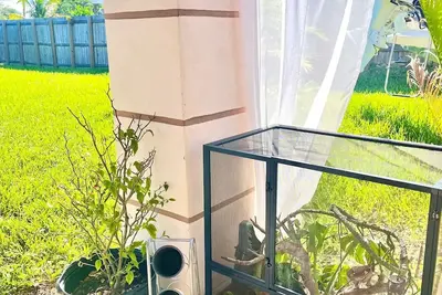 Image de Home away from Home in Miami