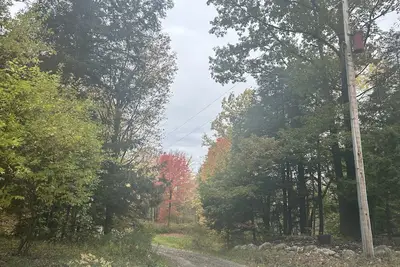 Image de Cozy cabin tucked away in the woods. pets and kid welcomed