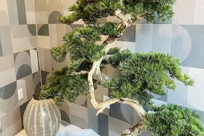 Image de Starlight Hotel