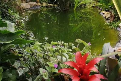 Image de Retiro dos Sonhos