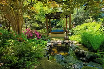 Image de Near Sierra Nevada & Biltmore \n4BR/2ba 1 minute to Asheville Airport/Ag Center.