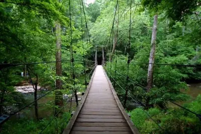 Image de Outdoor lovers! Our sleek 3 Bed flat is only minutes to the Eno River.