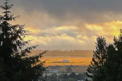 Image de 55% Discount 🌅 Ocean View w Firepit & Redwoods 🌲 Near Hsu 🐕👍