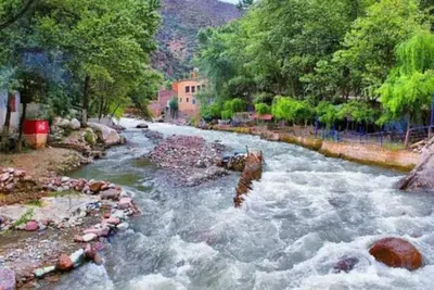 Image de Appartement confortable dans la vallée de l'Ourika