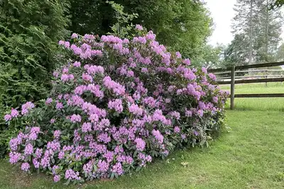 Image de Das Kulturdenkmal Etzauer Mühle Liegt im Naturpark Taunus am Weiltal-wanderweg