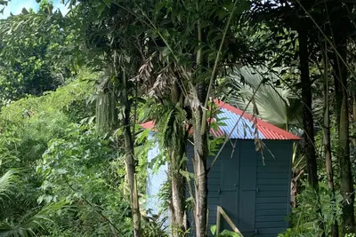 Image de La Maison Bleue appt Colibri ( éco tourisme) Au Milieu D'Un Jardin Tropical