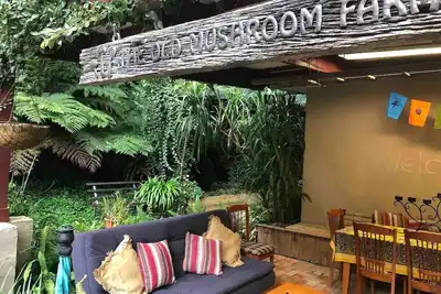 Image de The Old Mushroom Farm