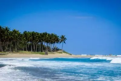 Image de Mer, surf et soleil