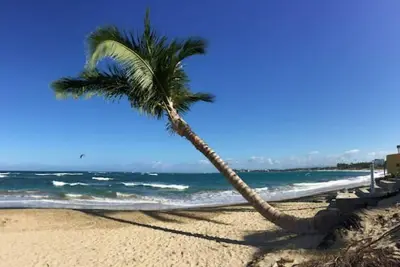 Image de Des vacances de rêve dans notre appartement 5 étoiles!