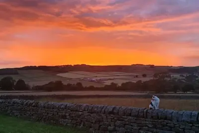 Image de Nidderdale Cottage (Wren)