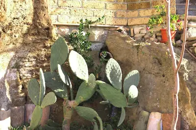 Image de Homerez - Appartement cosy - Montenero di Bisaccia