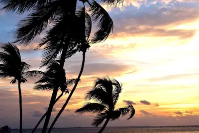 Image de Good Vibes Botanical, Boho meet the Beach, secluded beach with ocean views