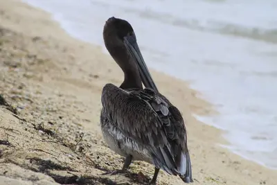 Image de Escape and Relax at Serenity Bay