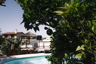 Image de 2 Bedroom Traditional Apartment, Garden View