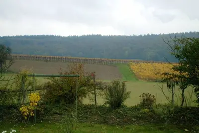 Image de Privat Wohnen in den Weinbergen