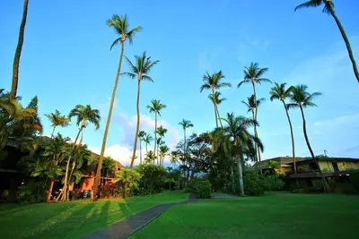 Image de Sale Feb 4-9, 2023 Most Fun Family and Friends Condo on West Maui! Maui Sands 1e
