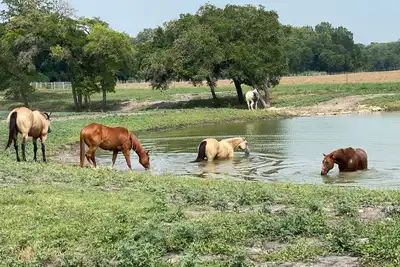 Image de 6 Suites on 73 Acres - 10min to Round Top - halfway between Austin & Houston
