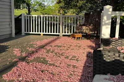 Image de Entire House 5br 4Bath on I-95 Hwy Direct Dc Dmv most safest - scenic  - private