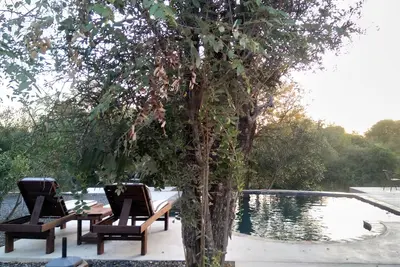 Image de Leadwood Tree Safari Lodge