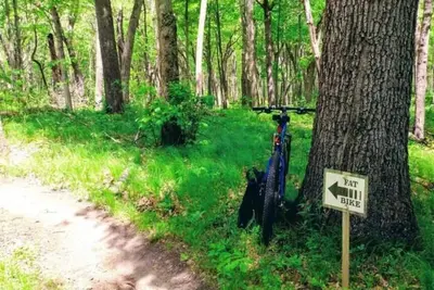 Image de The Sunlin Branch Campground 2