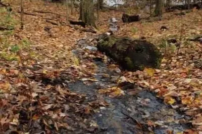 Image de The Sunlin Branch Campground 3