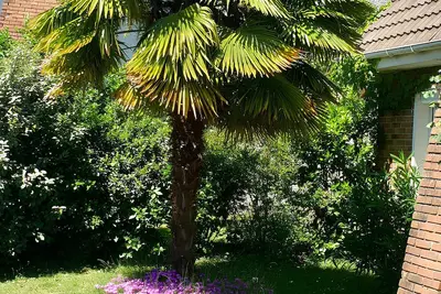 Image de Grande Maison De 170 M2 Sur 3 Niveaux A 10 Mn De Versailles