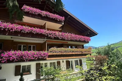 Image de Newly Renovated Apt in Wispile Near the Park Hotel