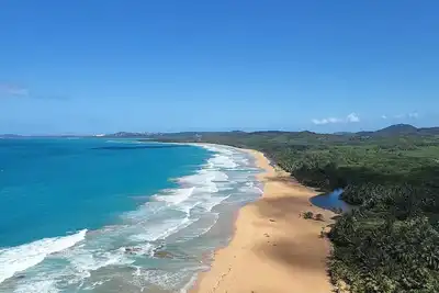 Image de Amazing Ocean View from the 20th Floor