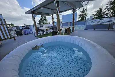 Image de Apartment Black & White with Jacuzzi on Terrace Cozy and Modern