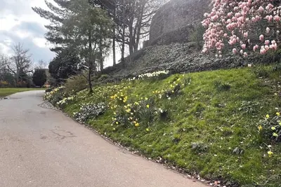 Image de Trendy Open Plan 2 Br Flat in Central Exeter!