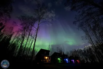 Image de The Lazy Lynx - Frontier Village