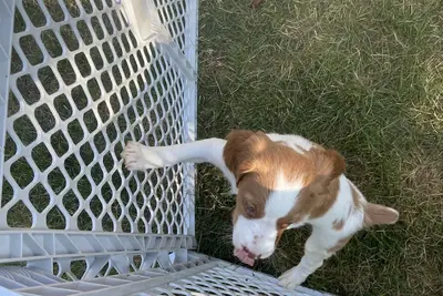 Image de Garza Blanca 5 star Resort with all the amenities. Close to Cancun night life