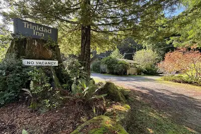 Image de Family Suite in the Redwoods