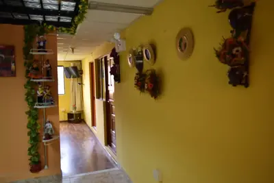 Image de Don Miguel