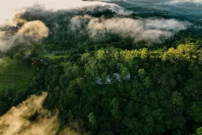 Image de Celestial Hills - by The Clarks