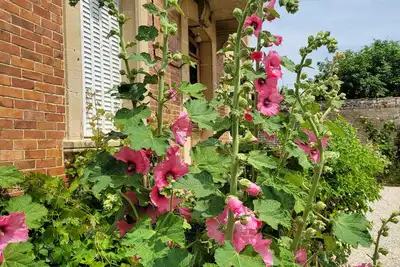 Image de Maison de maître, grandes surfaces lumineuses, beau jardin et parking 6 voitures