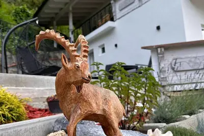 Image de Apartment Ana, Österreich