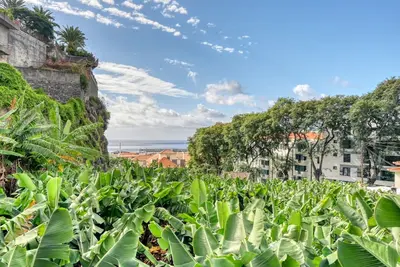 Image de Villa Rosa, a Home in Madeira