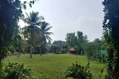 Reconnect with nature- escape to chakra farms amidst coconut groove\n