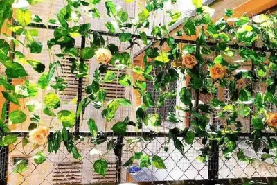 Image de Bahama House📍Near Ben Thanh Market, City Central