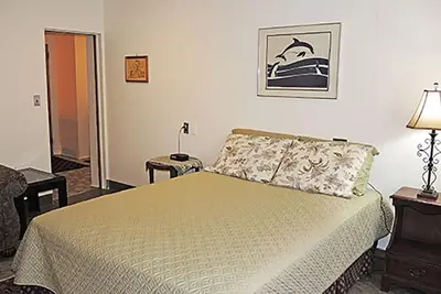 Image de Florence Cottage 1 block to Hall of Fame, 2 bedroom apt with Otsego Lake access