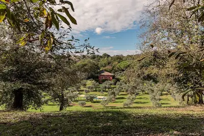 Image de Une atmosphère naturelle enveloppante, à savourer avec vos proches.
