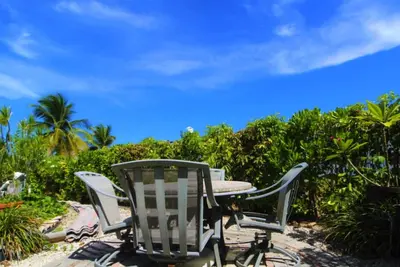 Image de Big Vacation Plex