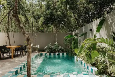 Image de Jungle Views in style