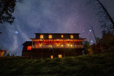 Image de 3 Crazy Cubs-Close to Pigeon Forge and Dollywood