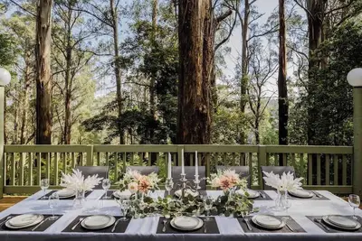 Image de Seednest Treehouse | Forest & Mountain View
