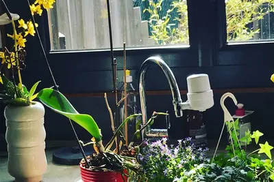 Image de Maison avec jardin à Montreuil proche de la ligne 11 et des Jo.