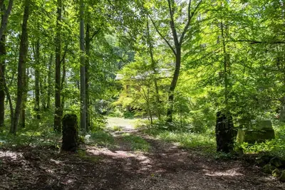Image de A secluded villa surrounded by forest / Agatsuma-gun Gunma